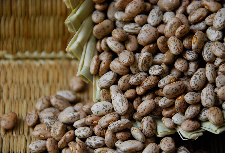 Pinto Beans